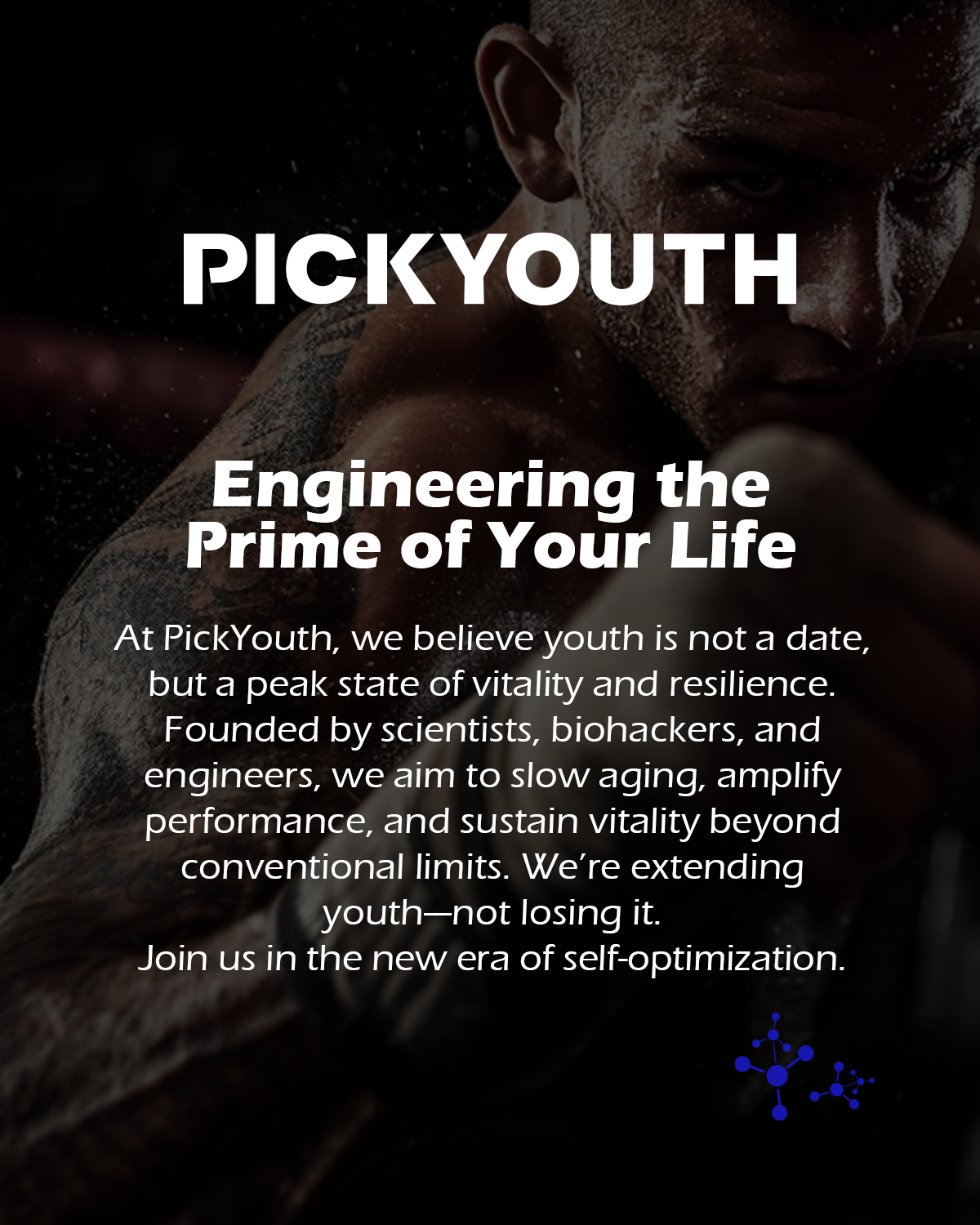 Pickyouth Synergy-T Testosterone Booster Supplement for Men, 60 Count
